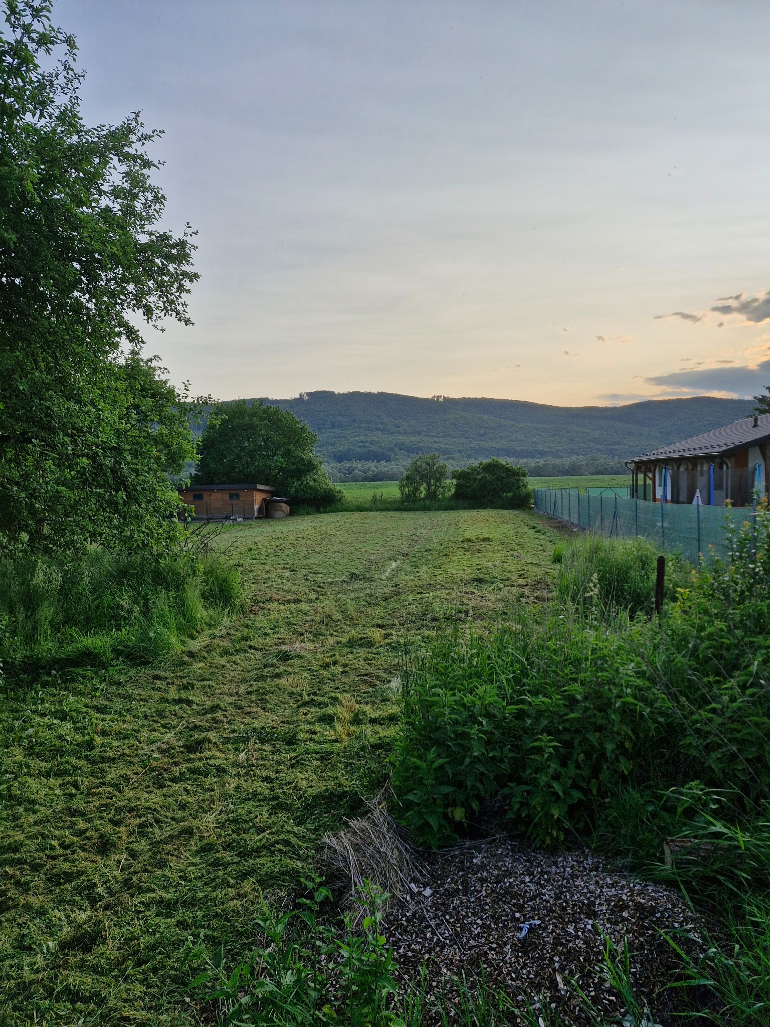 Rovnaký pozemok po pokosení vysokej trávy a porastu